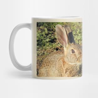 Rabbit, wildlife, gifts, Cute Little Bun bun Mug